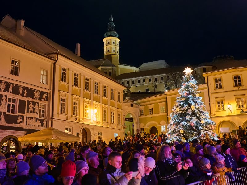 Rozsvícení vánočního stromu