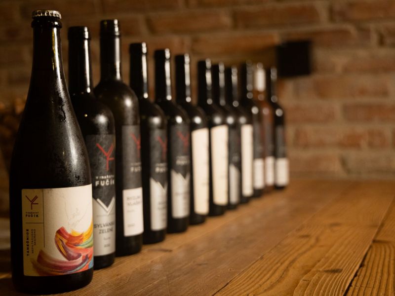 Exkurze ve Vinařství Fučík