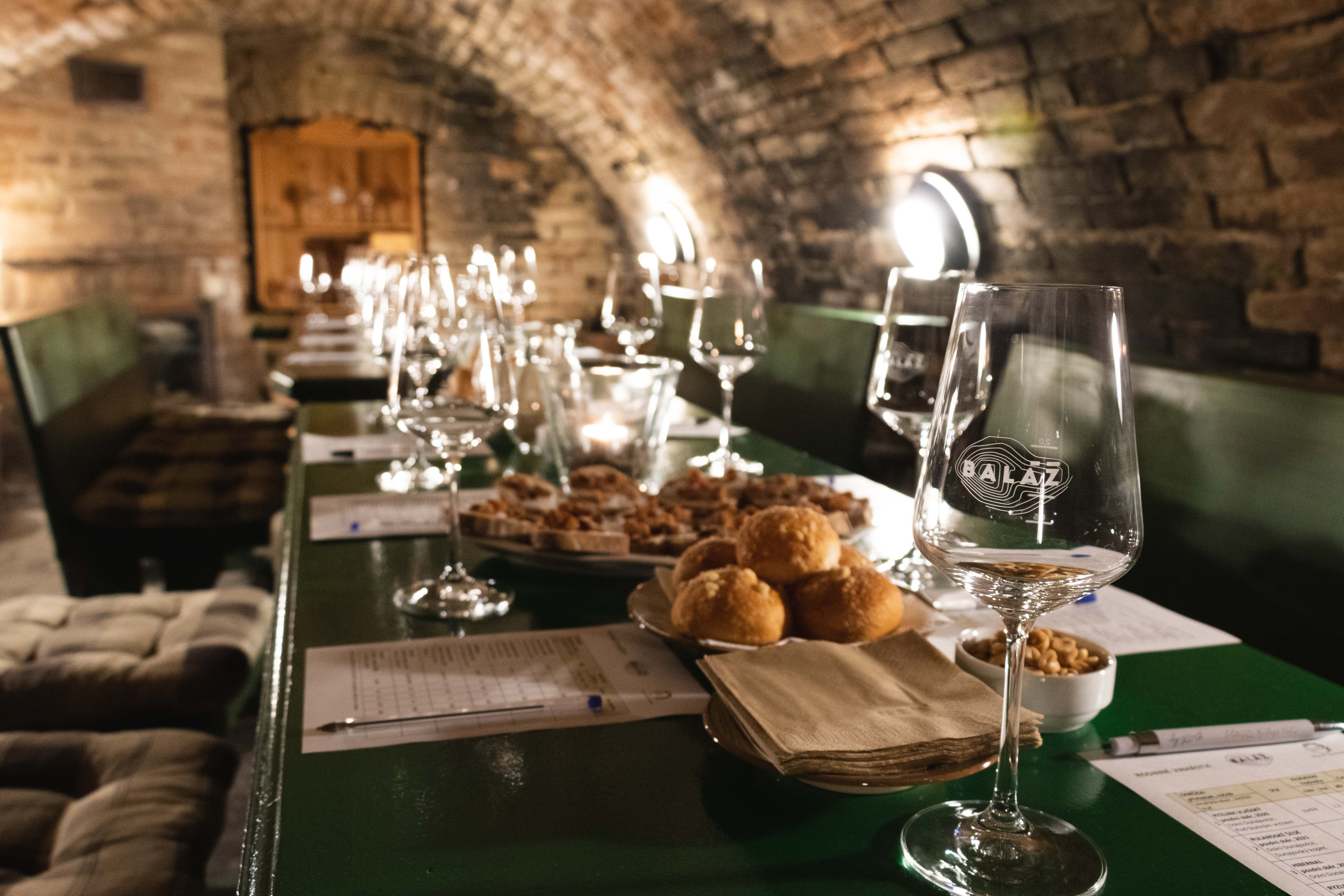 Individuální degustace v historickém vinném sklepě