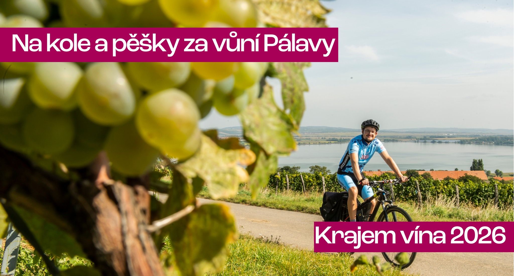 Krajem vína - Na kole a pěšky za vůní Pálavy 2026